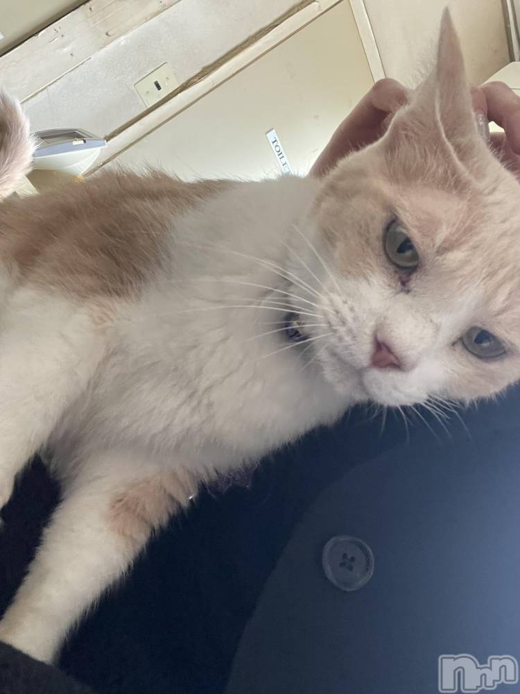 ��ˬ����Х��顦����֥���� �ץ���� ��ˬ(����� �ץ���� ����) ���� ���ޤ�8��30���̥�֥�����������~❕��