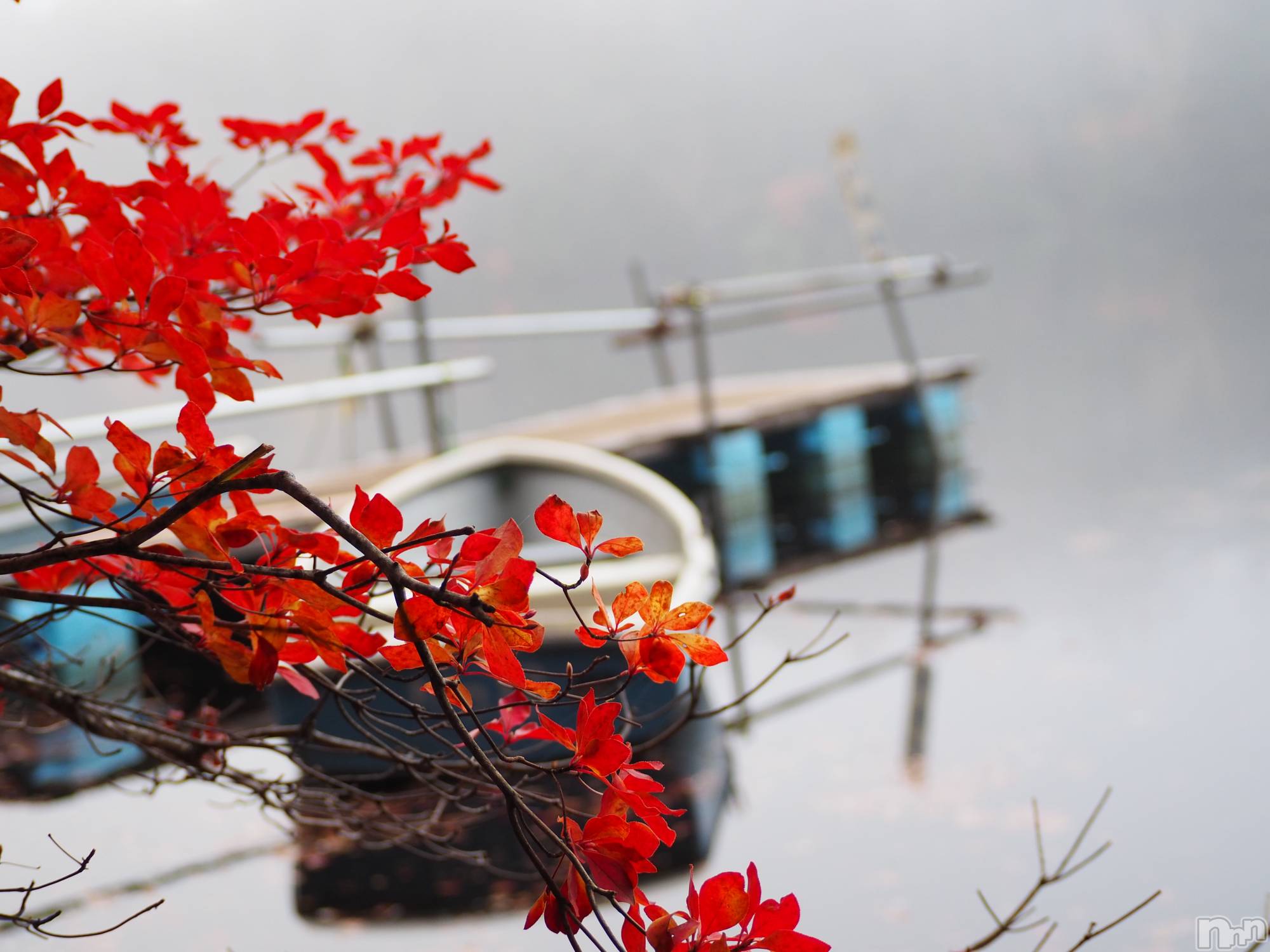 ��ˬ����Х��顦����֥���� �ץ���� ��ˬ(����� �ץ���� ����) ��2020ǯ10��12���̥�֥����ַ�����~‪❕❕��