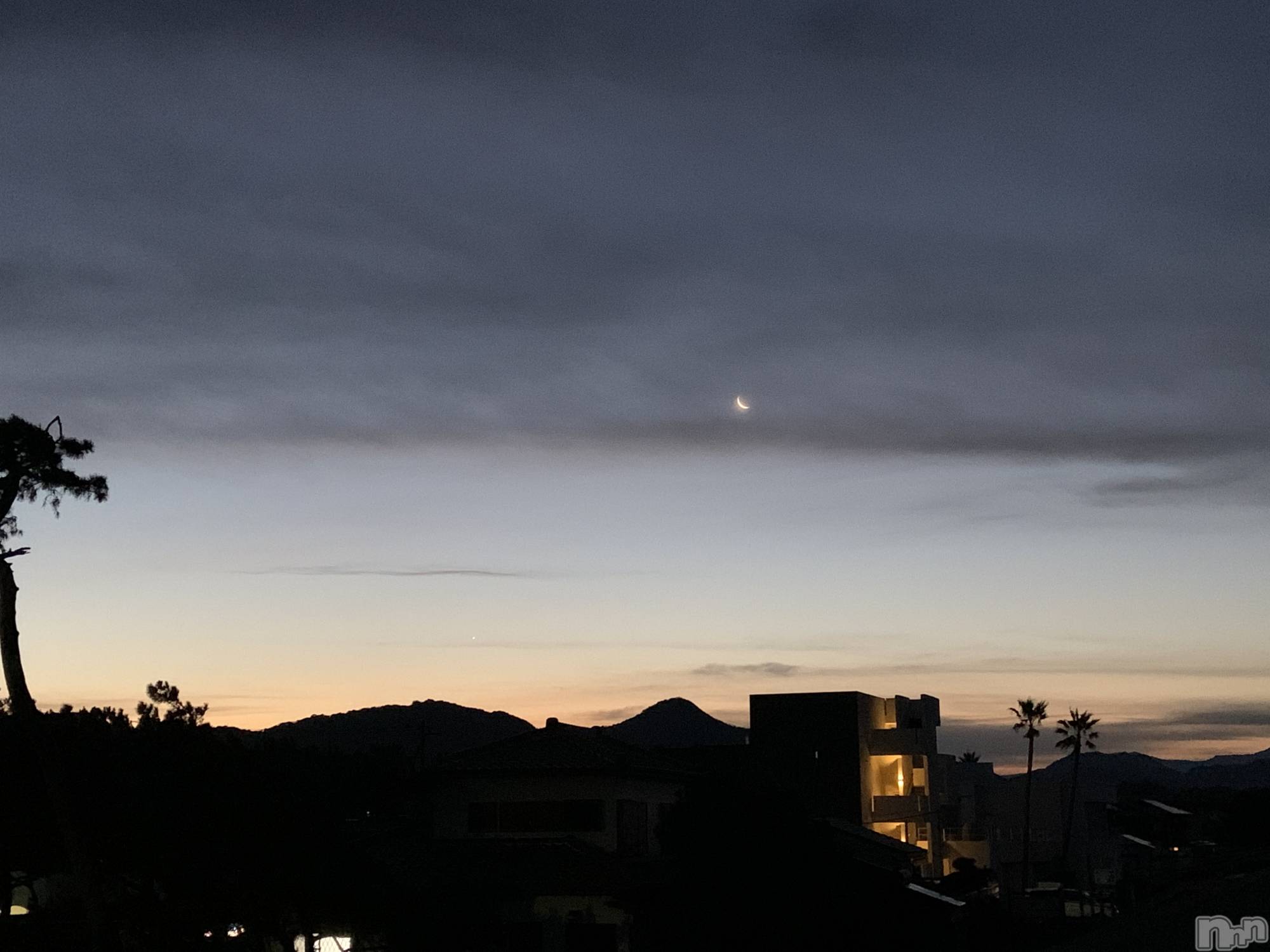 ��ˬ����Х��顦����֥���� �ץ���� ��ˬ(����� �ץ���� ����) ��2021ǯ1��16���̥�֥�����������~❕❕��