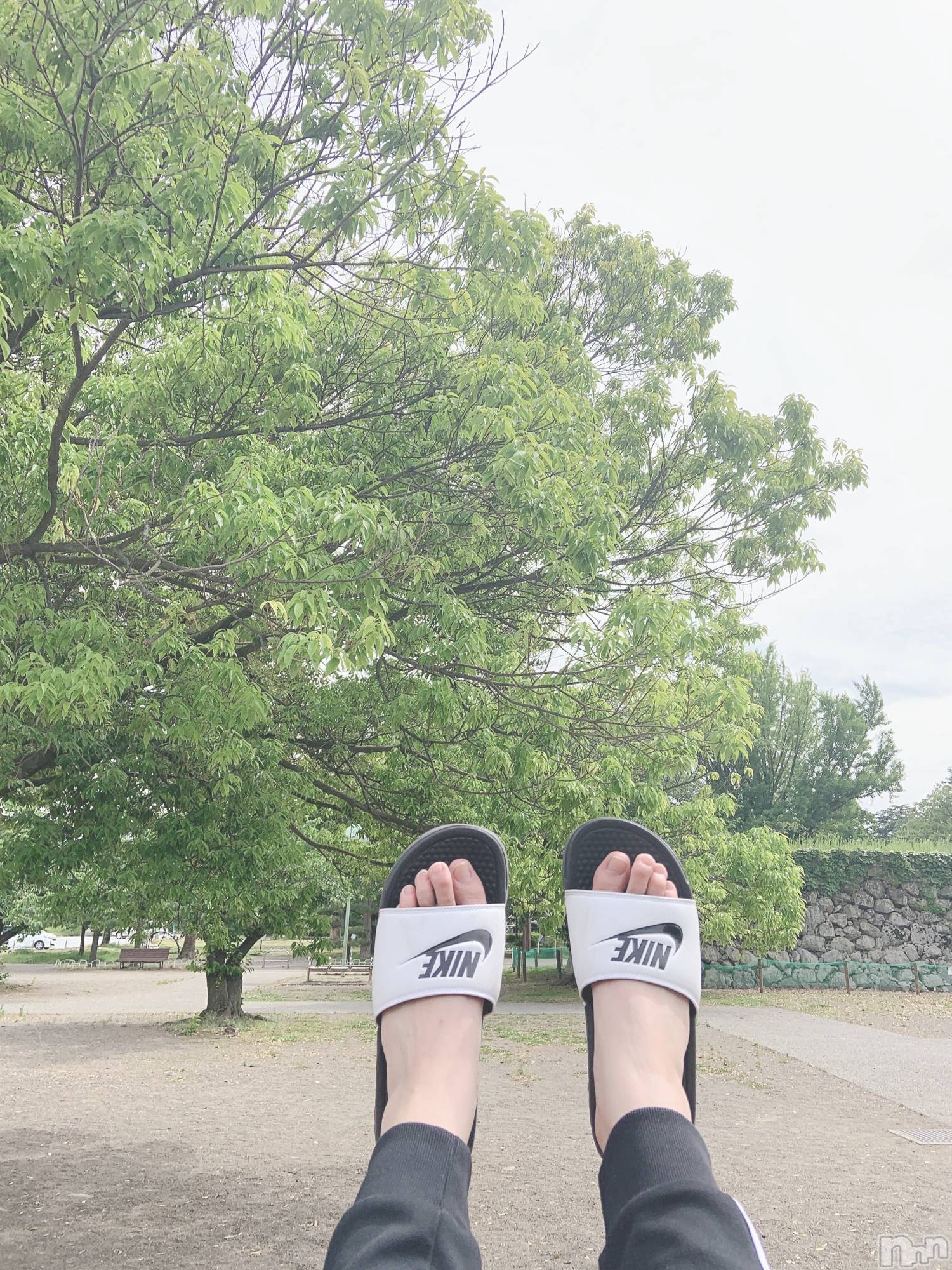 ��ˬ����Х��顦����֥���� �ץ���� ��ˬ(����� �ץ���� ����) ��2021ǯ2��6���̥�֥�����������~❕❕��