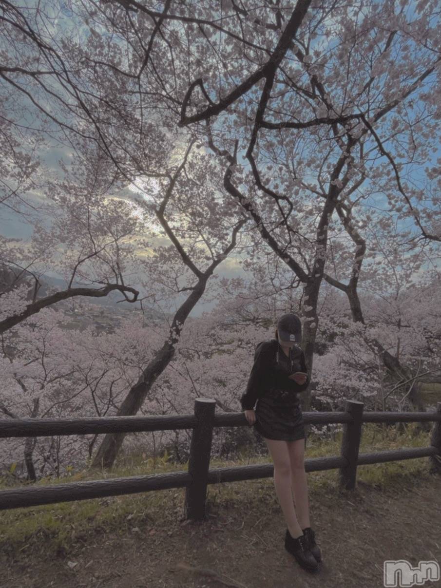 ��ˬ����Х��顦����֥���� �ץ���� ��ˬ(����� �ץ���� ����) ��2021ǯ5��7���̥�֥����ֶ�����~❕❕��