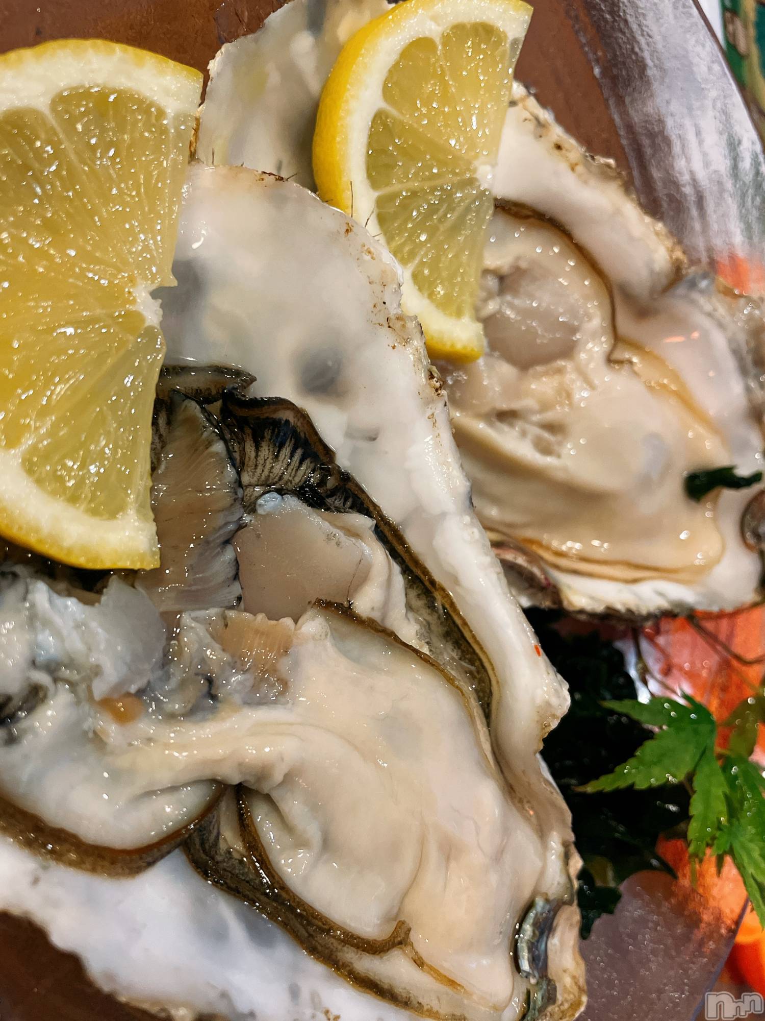 ��ˬ����Х��顦����֥���� �ץ���� ��ˬ(����� �ץ���� ����) ��2021ǯ5��24���̥�֥����ַ�����~❕❕��