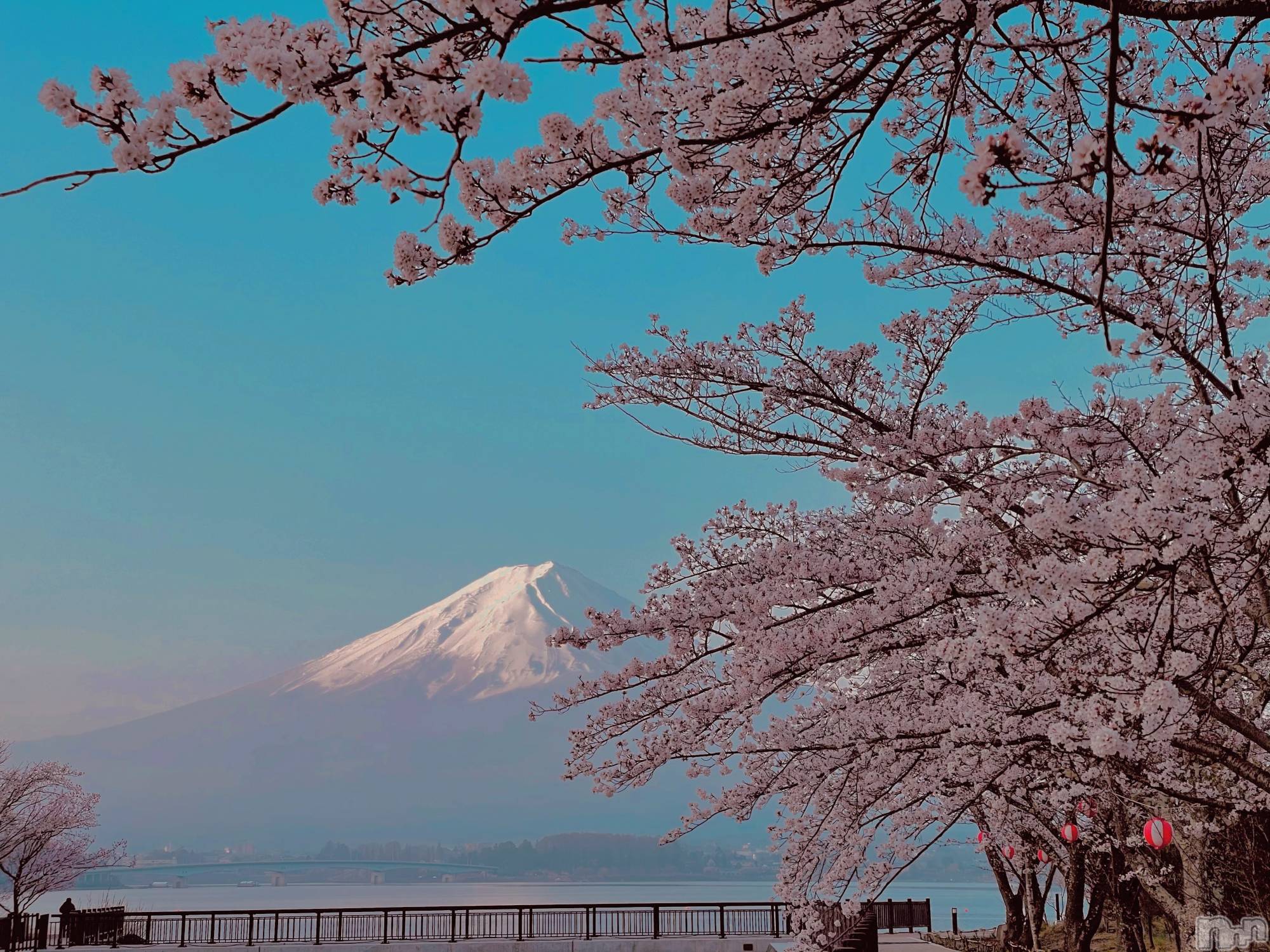 ��ˬ����Х��顦����֥���� �ץ���� ��ˬ(����� �ץ���� ����) ��2021ǯ10��26���̥�֥����ֲ�����~❕❕��