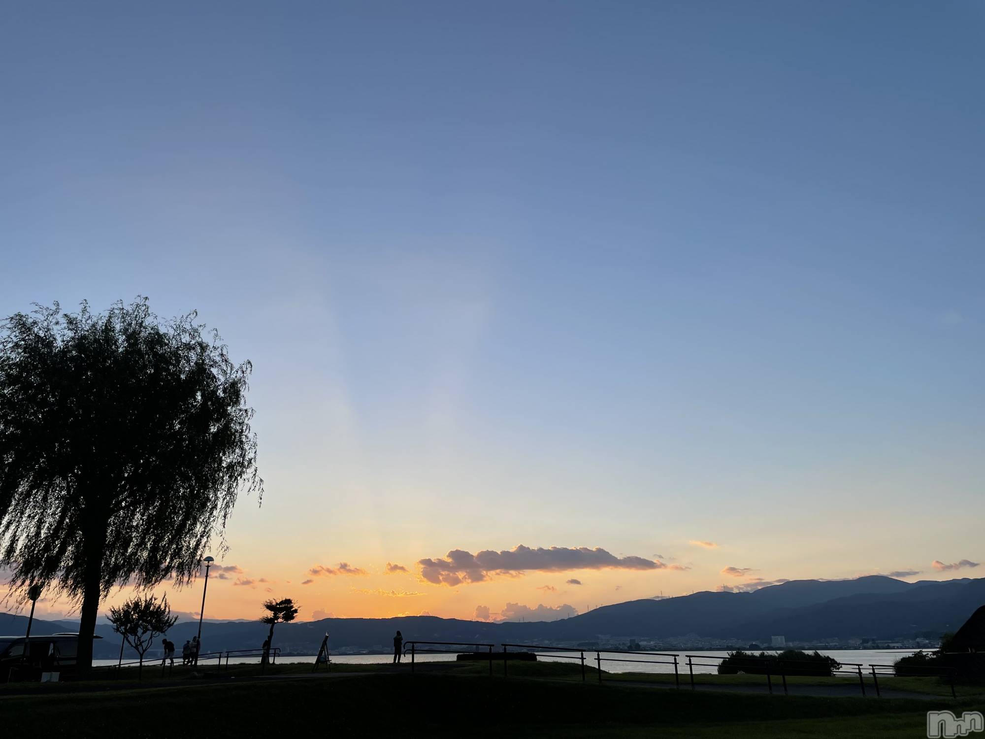 ��ˬ����Х��顦����֥���� �ץ���� ��ˬ(����� �ץ���� ����) ��2021ǯ11��24���̥�֥����ֿ�����~❕❕��