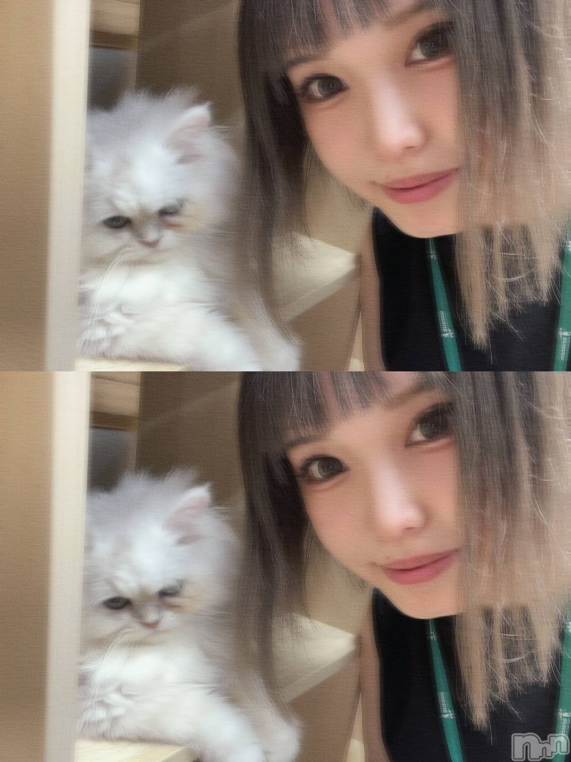 ��ˬ����Х��顦����֥���� �ץ���� ��ˬ(����� �ץ���� ����) ��2022ǯ7��29���̥�֥����ֶ�����~❕��