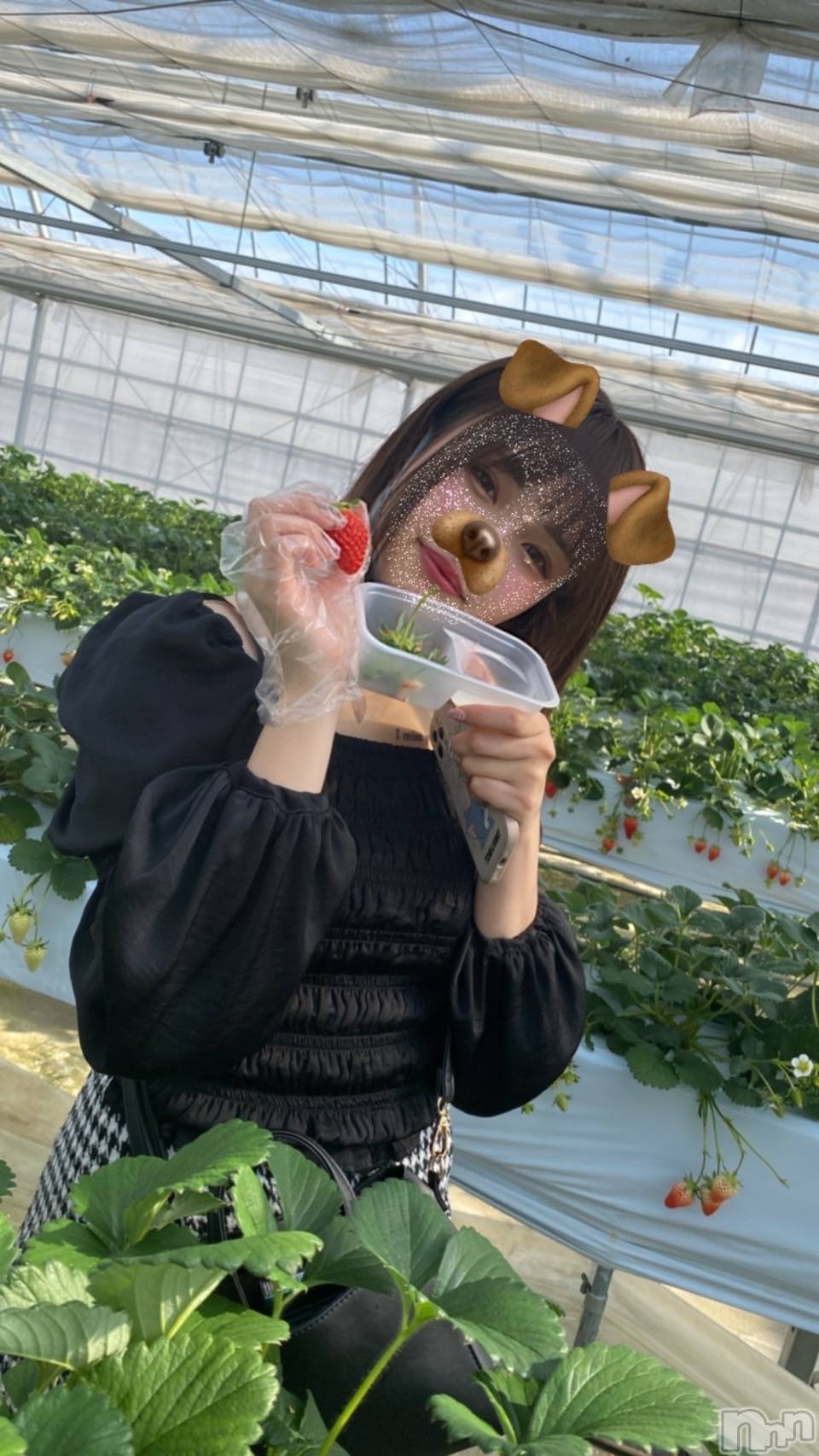 ��ˬ����Х��顦����֥���� �ץ���� ��ˬ(����� �ץ���� ����) ��2022ǯ10��15���̥�֥�����������~❕��