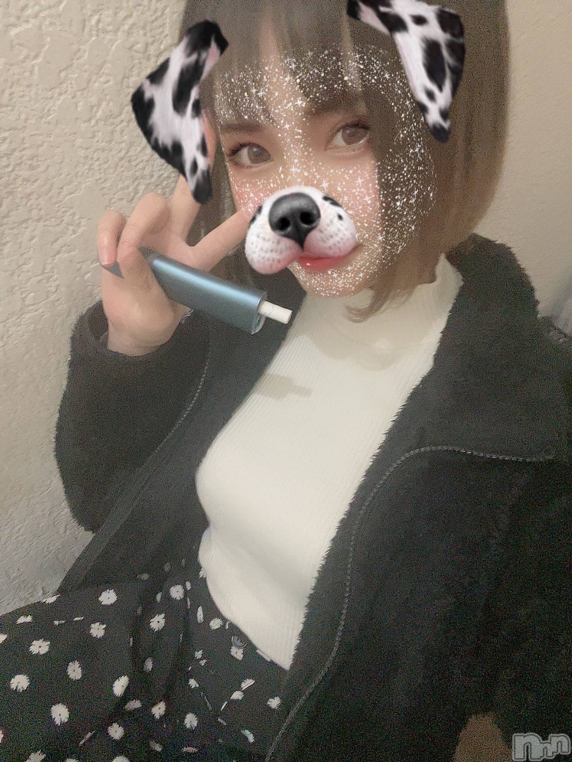 ��ˬ����Х��顦����֥���� �ץ���� ��ˬ(����� �ץ���� ����) ��2022ǯ12��14���̥�֥����ֿ�����~❕��