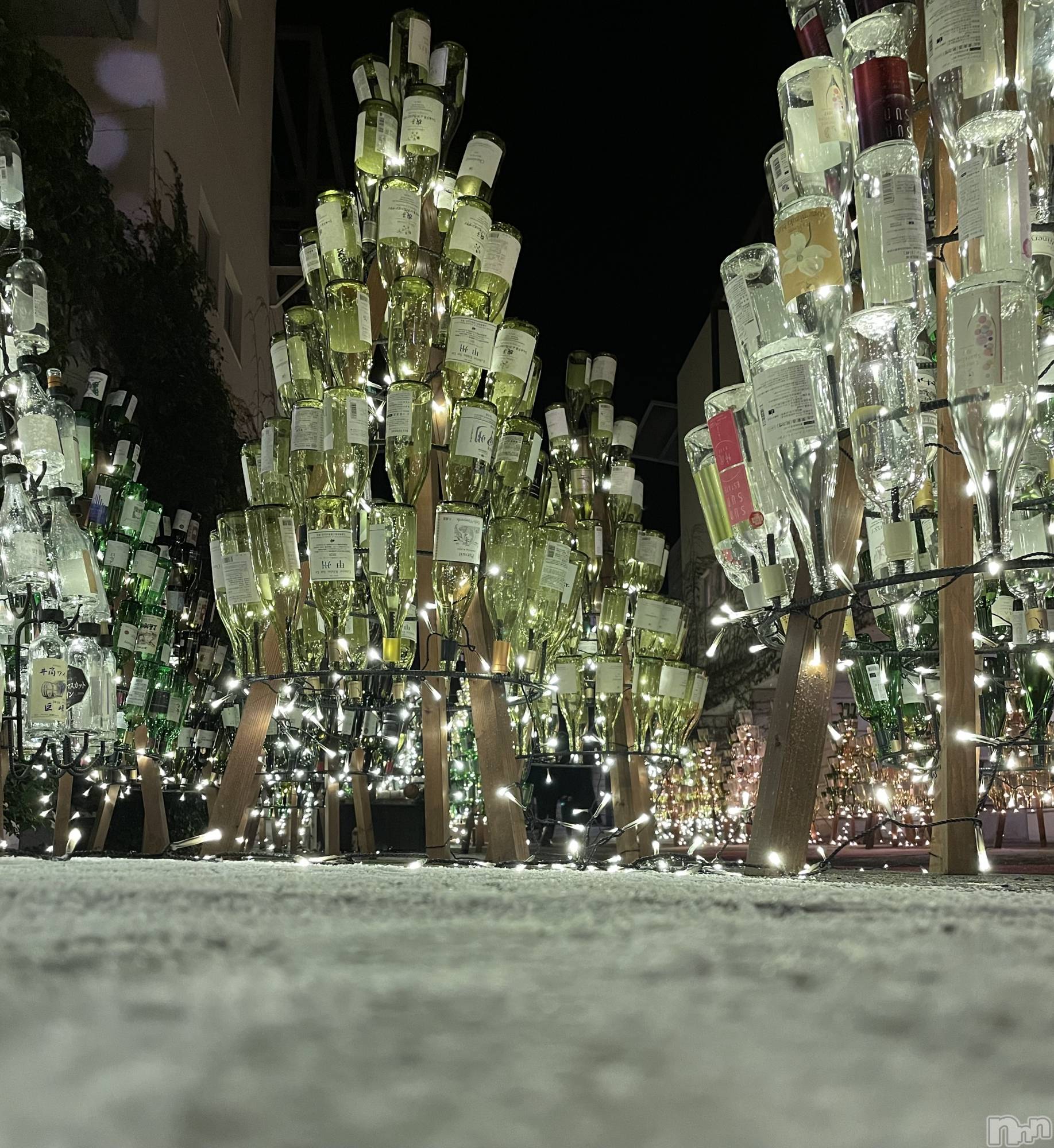 ��ˬ����Х��顦����֥���� �ץ���� ��ˬ(����� �ץ���� ����) ��2022ǯ12��24���̥�֥�����������~❕��