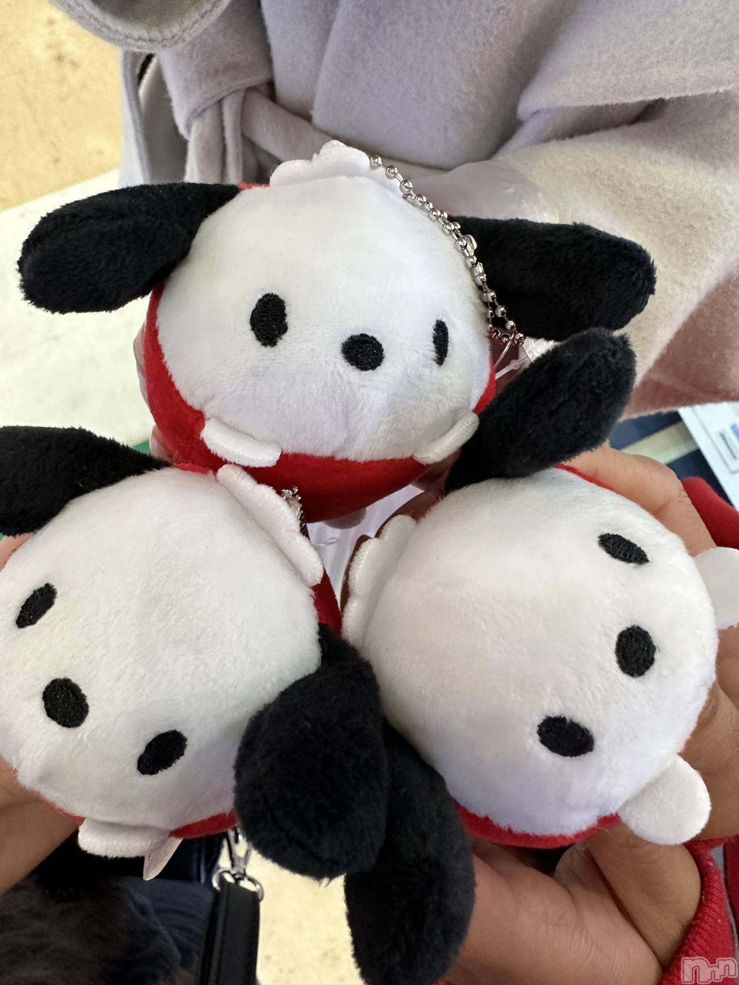 ��ˬ����Х��顦����֥���� �ץ���� ��ˬ(����� �ץ���� ����) ��2023ǯ3��20���̥�֥����ַ�����~❕��