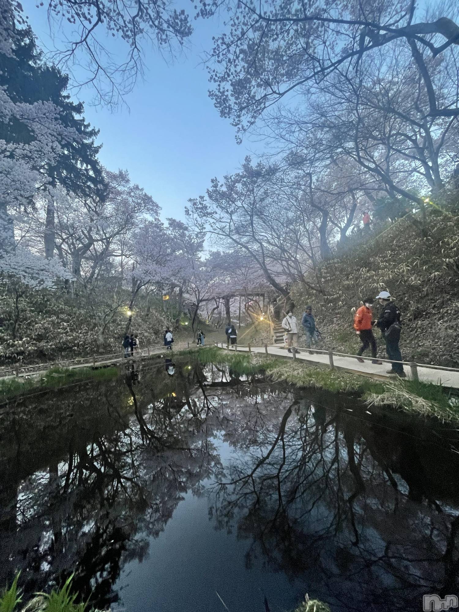 ��ˬ����Х��顦����֥���� �ץ���� ��ˬ(����� �ץ���� ����) ��2023ǯ4��4���̥�֥����ֲ�����~❕��