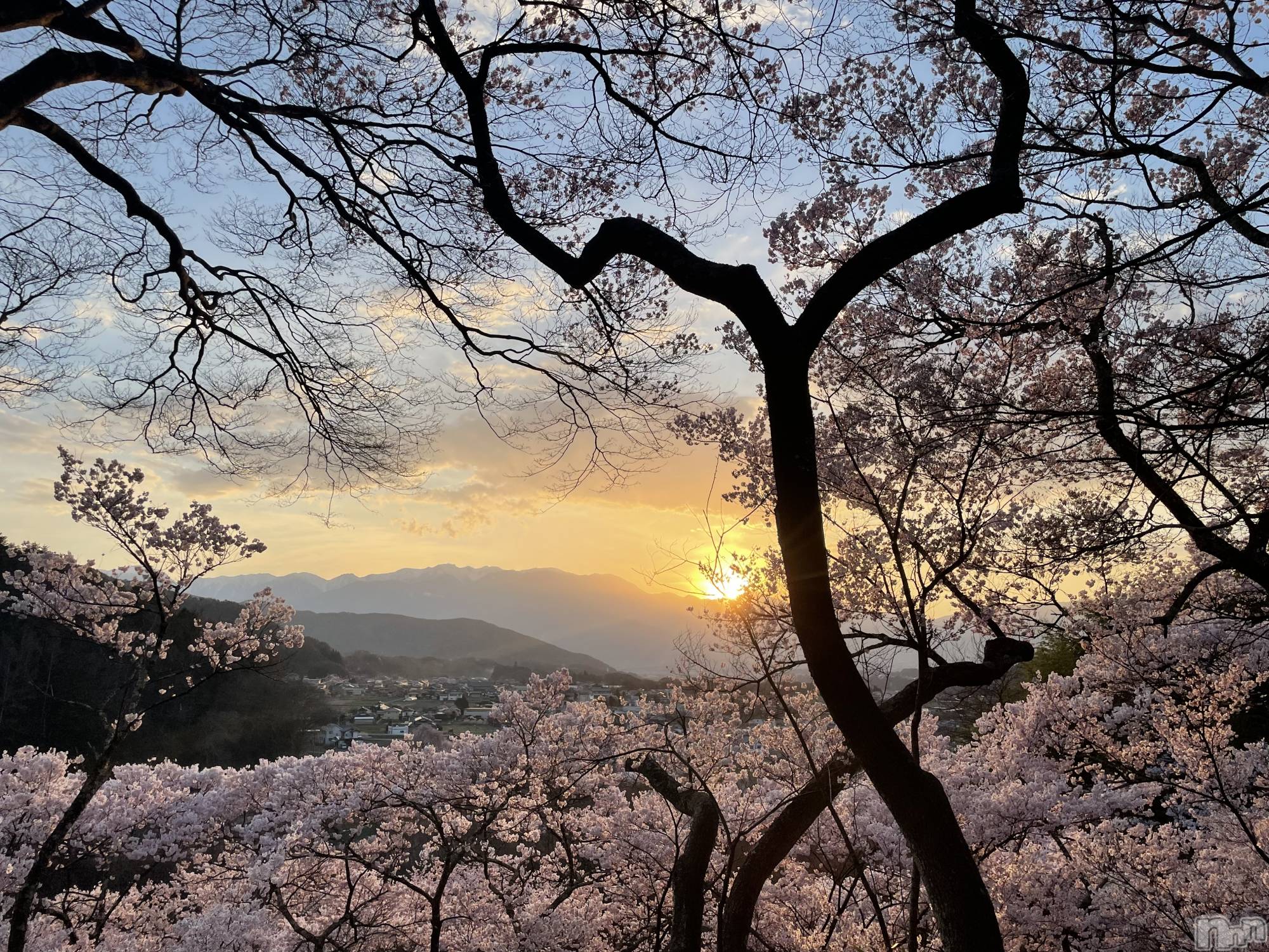 ��ˬ����Х��顦����֥���� �ץ���� ��ˬ(����� �ץ���� ����) ��2023ǯ4��8���̥�֥�����������~❕��