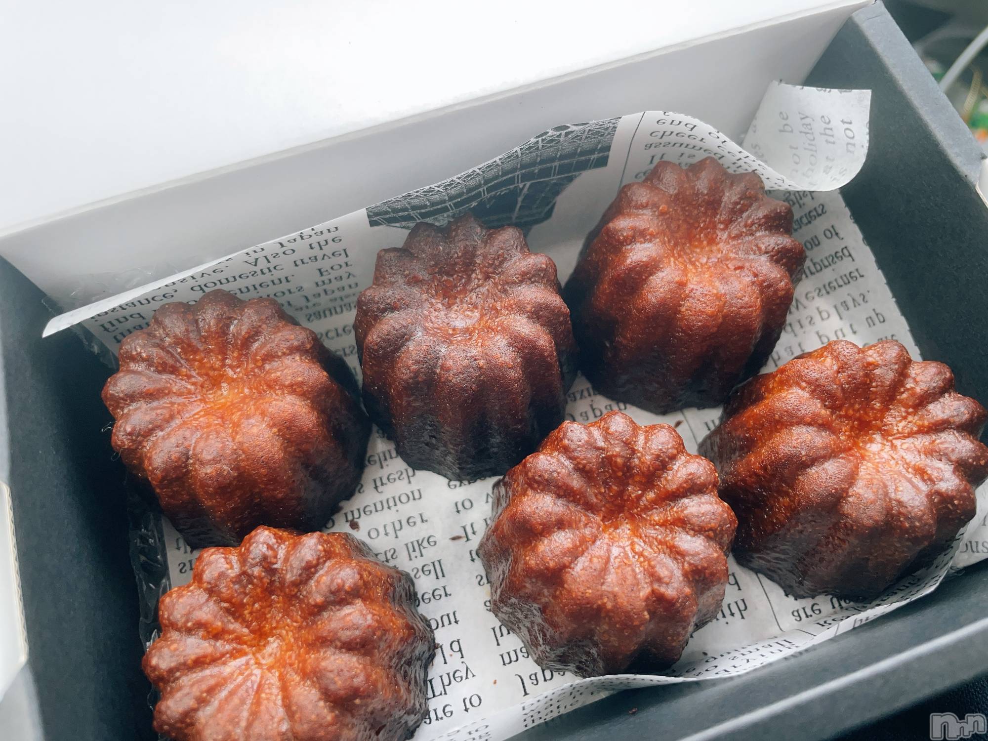 ��ˬ����Х��顦����֥���� �ץ���� ��ˬ(����� �ץ���� ����) ��2023ǯ8��14���̥�֥����ַ�����~❕��