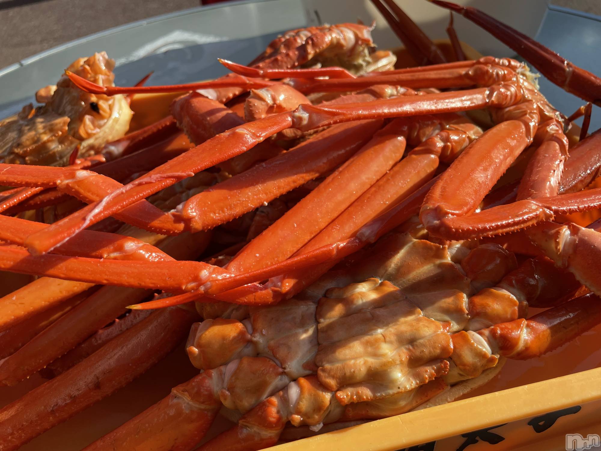 ��ˬ����Х��顦����֥���� �ץ���� ��ˬ(����� �ץ���� ����) ��2023ǯ10��13���̥�֥����ֶ�����~❕��