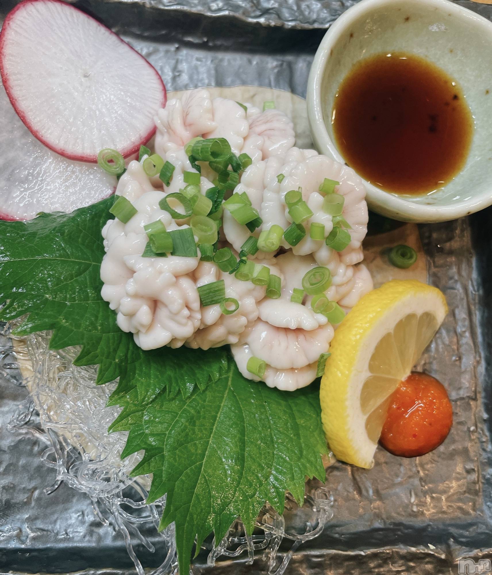 ��ˬ����Х��顦����֥���� �ץ���� ��ˬ(����� �ץ���� ����) ��2023ǯ11��16���̥�֥�����������~❕��