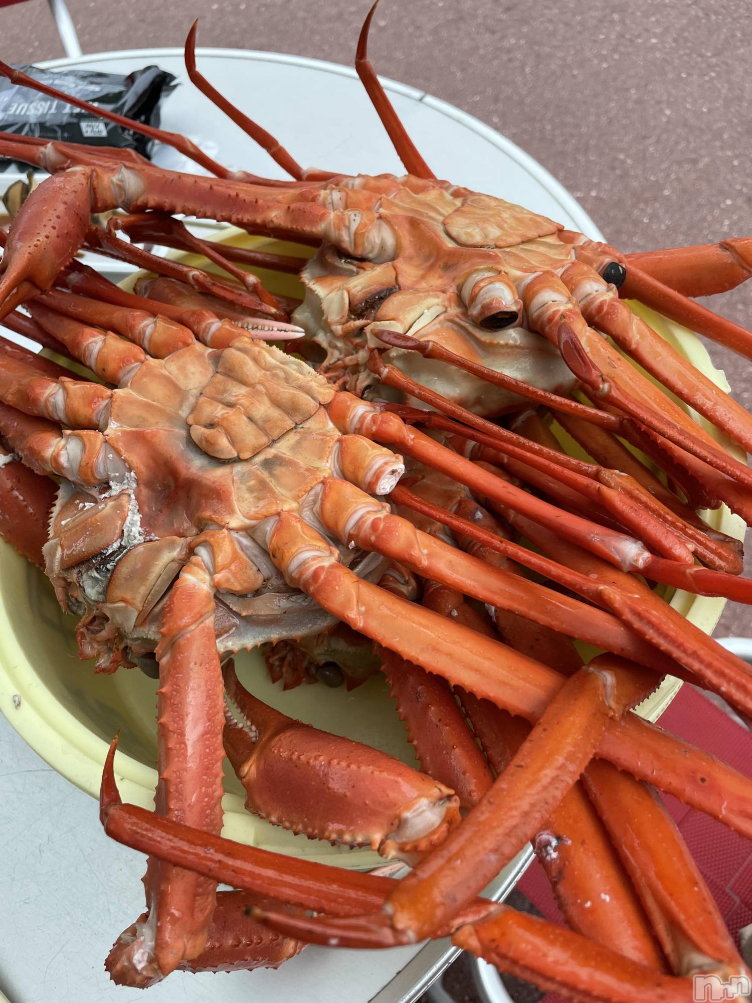 ��ˬ����Х��顦����֥���� �ץ���� ��ˬ(����� �ץ���� ����) ��2024ǯ3��23���̥�֥�����🦀��