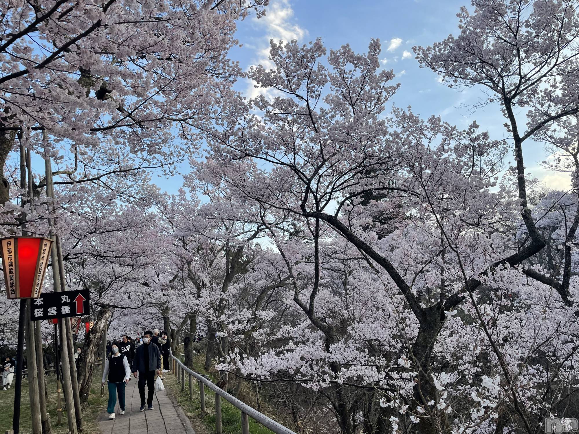 ��ˬ����Х��顦����֥���� �ץ���� ��ˬ(����� �ץ���� ����) ��2024ǯ4��6���̥�֥�����������~❕��