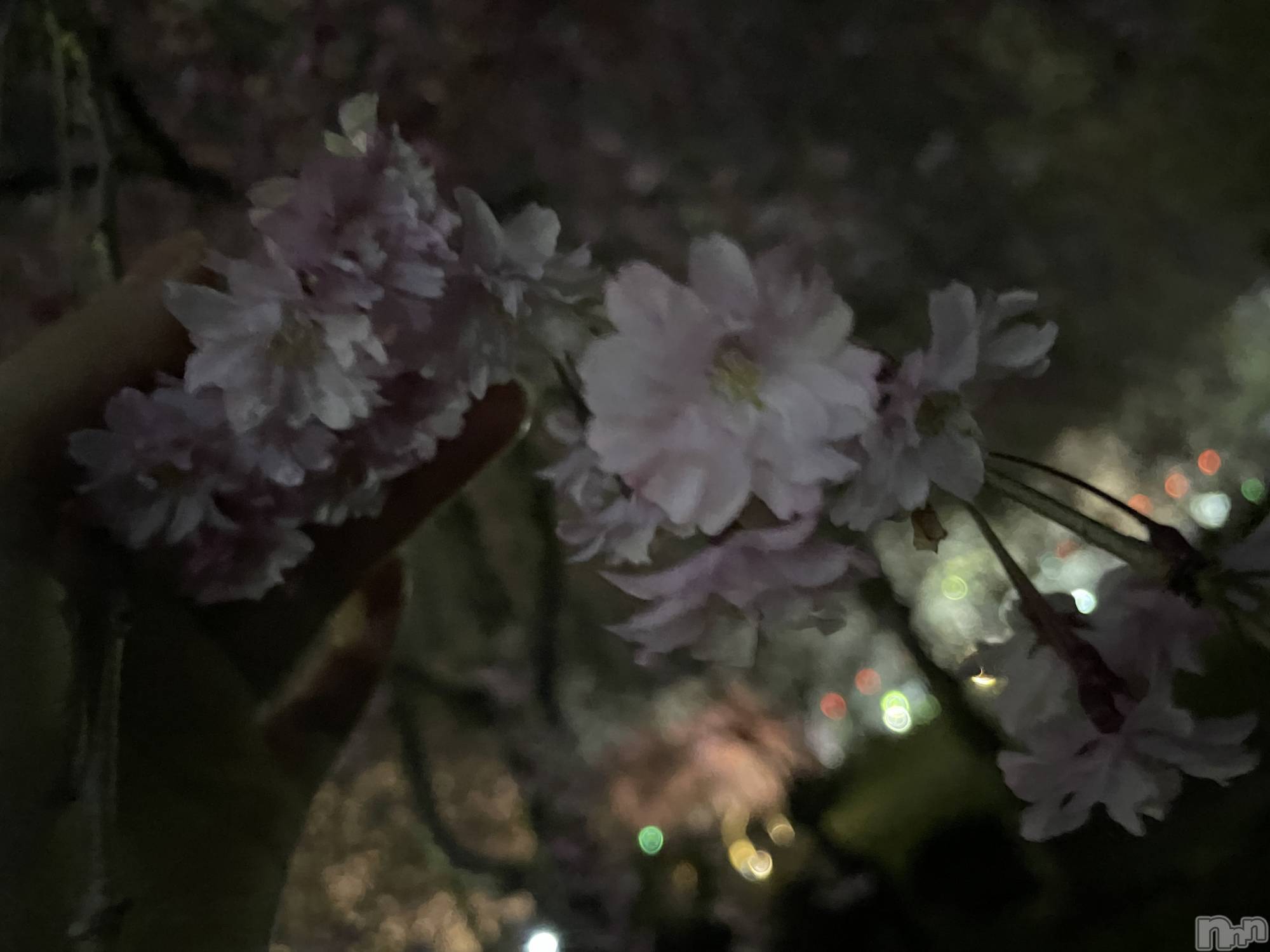 ��ˬ����Х��顦����֥���� �ץ���� ��ˬ(����� �ץ���� ����) ��2024ǯ4��9���̥�֥�����🌧��