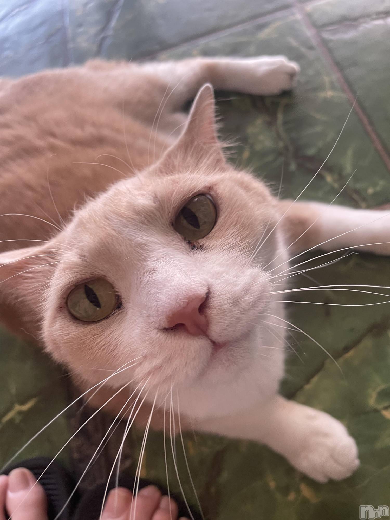 ��ˬ����Х��顦����֥���� �ץ���� ��ˬ(����� �ץ���� ����) ��2024ǯ7��5���̥�֥�����️️️⛅️��