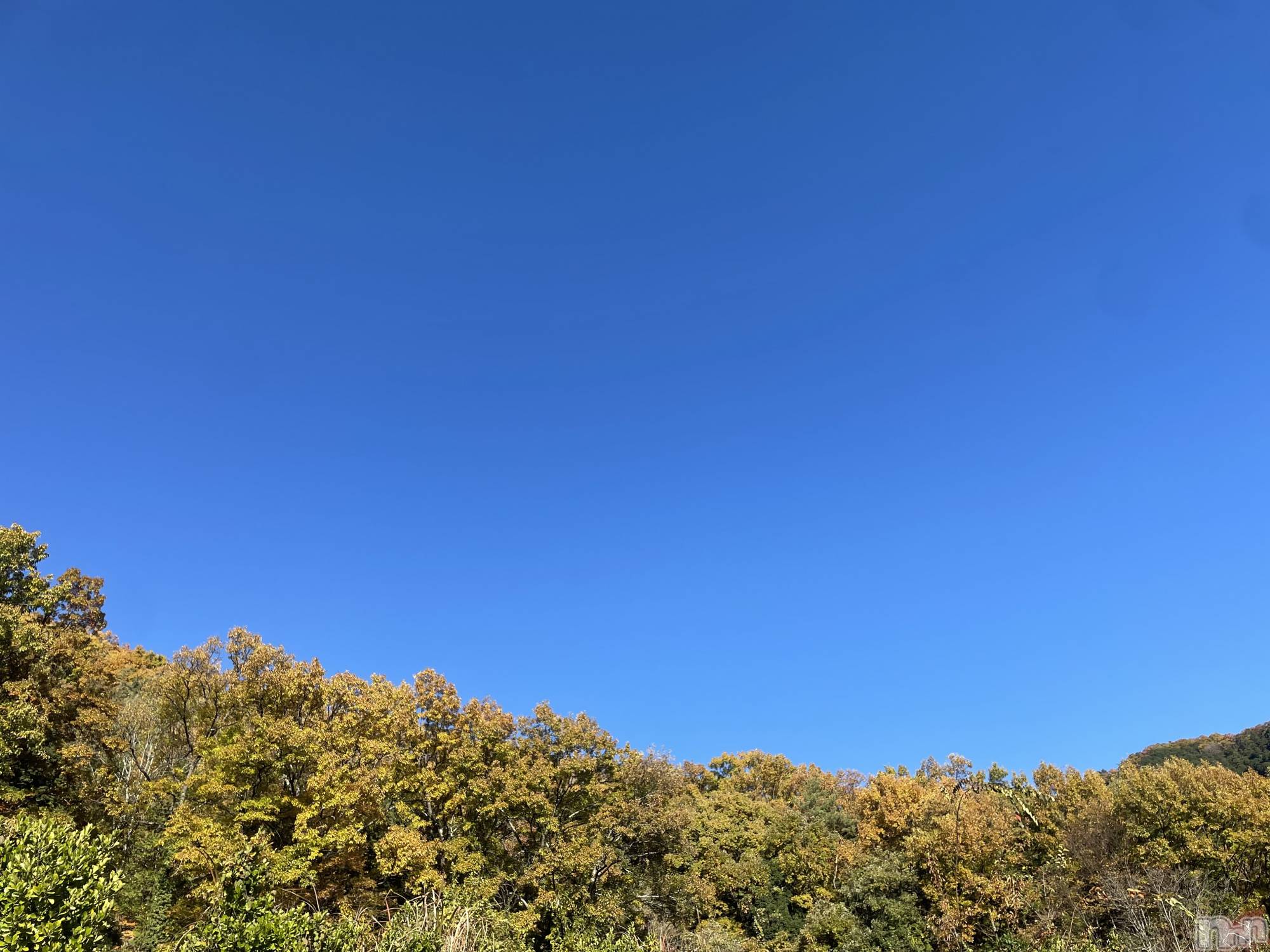 ��ˬ����Х��顦����֥���� �ץ���� ��ˬ(����� �ץ���� ����) ��2024ǯ12��2���̥�֥�������ŷ~❕��