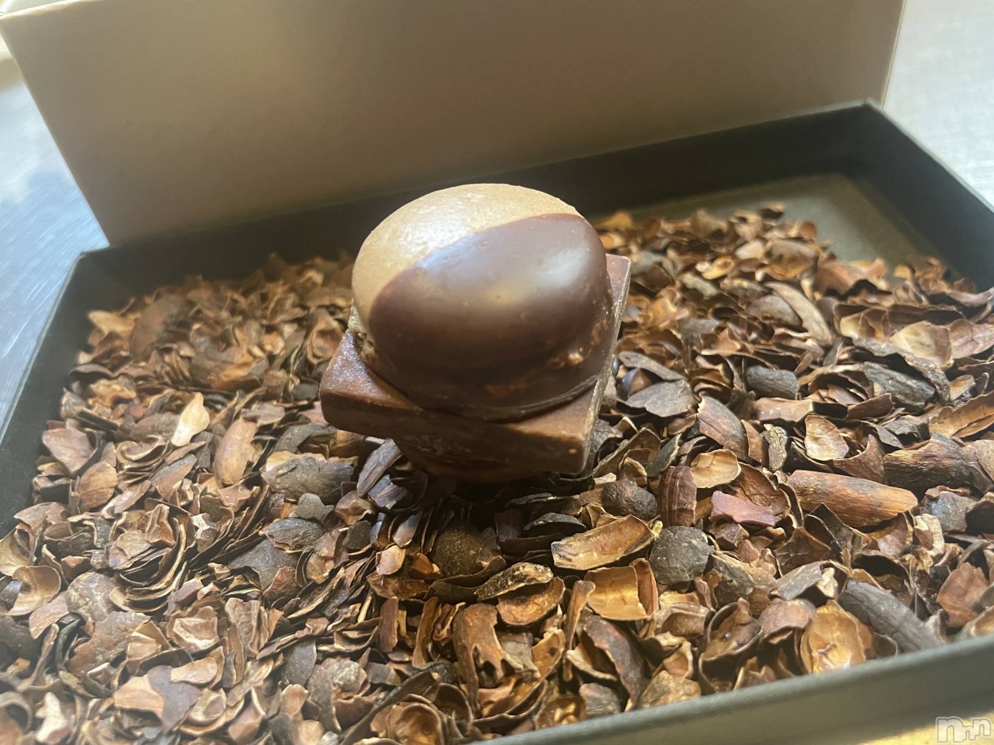 ��ˬ����Х��顦����֥���� �ץ���� ��ˬ(����� �ץ���� ����) ��2025ǯ4��19���̥�֥�����������~❕��