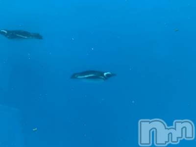 ��ˬ����Х��顦����֥���� �ץ���� ��ˬ(����� �ץ���� ����) ���� ���ޤ�10��27���̥�֥����ֲ�����~❕❕��