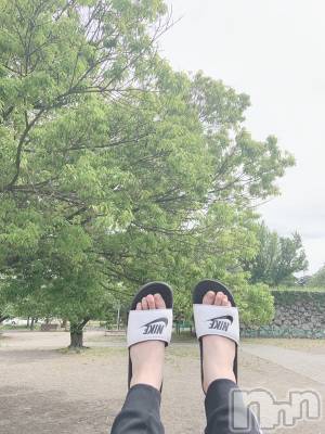 ��ˬ����Х��顦����֥���� �ץ���� ��ˬ(����� �ץ���� ����) ���� ���ޤ�2��6���̥�֥�����������~❕❕��