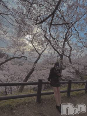 ��ˬ����Х��顦����֥���� �ץ���� ��ˬ(����� �ץ���� ����) ���� ���ޤ�5��7���̥�֥����ֶ�����~❕❕��