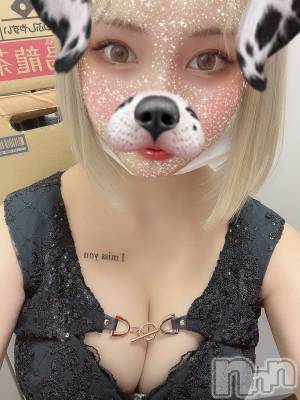 ��ˬ����Х��顦����֥���� �ץ���� ��ˬ(����� �ץ���� ����) ���� ���ޤ�6��12���̥�֥�����������~❕❕��