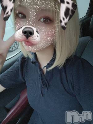 ��ˬ����Х��顦����֥���� �ץ���� ��ˬ(����� �ץ���� ����) ���� ���ޤ�7��3���̥�֥�����������~❕❕��