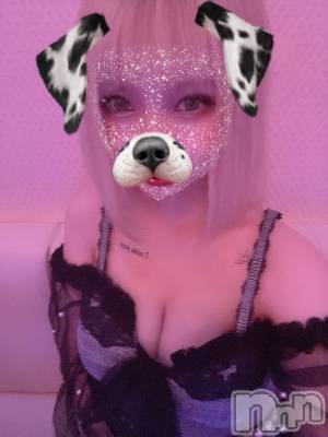 ��ˬ����Х��顦����֥���� �ץ���� ��ˬ(����� �ץ���� ����) ���� ���ޤ�7��20���̥�֥����ֲ�����~❕❕��