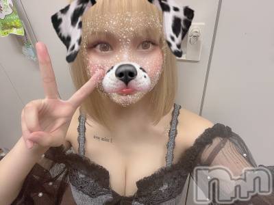 ��ˬ����Х��顦����֥���� �ץ���� ��ˬ(����� �ץ���� ����) ���� ���ޤ�8��8���̥�֥�����������~❕❕��