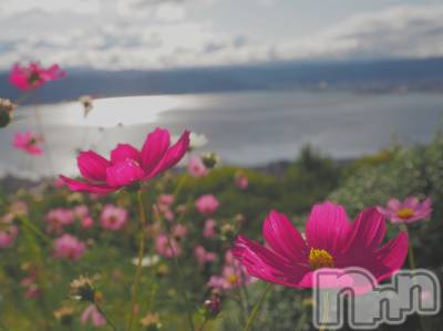 ��ˬ����Х��顦����֥���� �ץ���� ��ˬ(����� �ץ���� ����) ���� ���ޤ�10��18���̥�֥����ַ�����~❕❕��