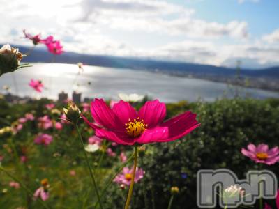 ��ˬ����Х��顦����֥���� �ץ���� ��ˬ(����� �ץ���� ����) ���� ���ޤ�11��27���̥�֥�����������~❕❕��