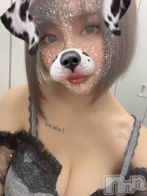 ��ˬ����Х��顦����֥���� �ץ���� ��ˬ(����� �ץ���� ����) ���� ���ޤ�12��10���̥�֥����ֶ�����~❕❕��