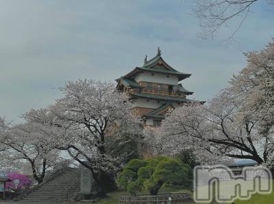 ��ˬ����Х��顦����֥���� �ץ���� ��ˬ(����� �ץ���� ����) ���� ���ޤ�4��14���̥�֥�����������~❕��