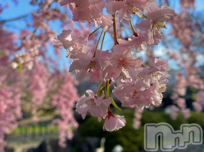 ��ˬ����Х��顦����֥���� �ץ���� ��ˬ(����� �ץ���� ����) ���� ���ޤ�4��18���̥�֥����ַ�����~❕��