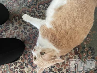 ��ˬ����Х��顦����֥���� �ץ���� ��ˬ(����� �ץ���� ����) ���� ���ޤ�6��29���̥�֥����ֿ�����~❕��