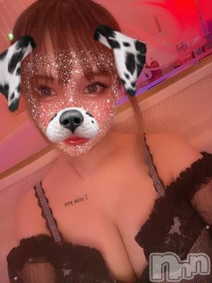 ��ˬ����Х��顦����֥���� �ץ���� ��ˬ(����� �ץ���� ����) ���� ���ޤ�7��20���̥�֥����ֿ�����~❕��