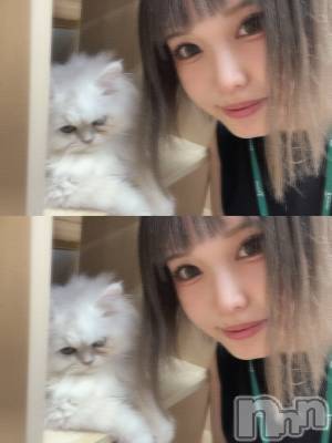 ��ˬ����Х��顦����֥���� �ץ���� ��ˬ(����� �ץ���� ����) ���� ���ޤ�7��29���̥�֥����ֶ�����~❕��