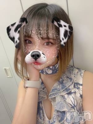 ��ˬ����Х��顦����֥���� �ץ���� ��ˬ(����� �ץ���� ����) ���� ���ޤ�12��8���̥�֥�����������~❕��