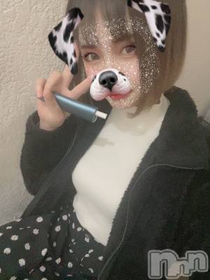 ��ˬ����Х��顦����֥���� �ץ���� ��ˬ(����� �ץ���� ����) ���� ���ޤ�12��14���̥�֥����ֿ�����~❕��