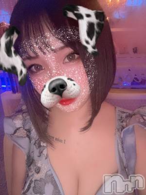 ��ˬ����Х��顦����֥���� �ץ���� ��ˬ(����� �ץ���� ����) ���� ���ޤ�2��13���̥�֥����ַ�����~❕��