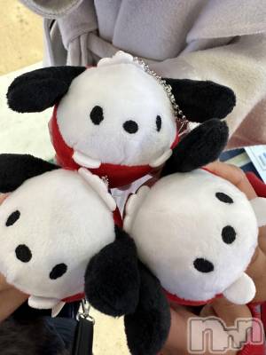 ��ˬ����Х��顦����֥���� �ץ���� ��ˬ(����� �ץ���� ����) ���� ���ޤ�3��20���̥�֥����ַ�����~❕��