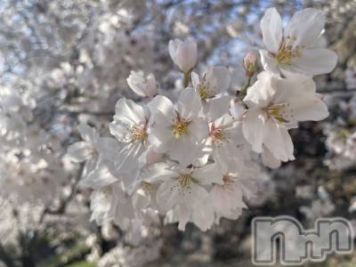 ��ˬ����Х��顦����֥���� �ץ���� ��ˬ(����� �ץ���� ����) ���� ���ޤ�3��30���̥�֥�����������~❕��