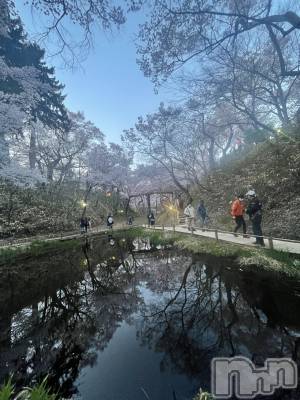 ��ˬ����Х��顦����֥���� �ץ���� ��ˬ(����� �ץ���� ����) ���� ���ޤ�4��4���̥�֥����ֲ�����~❕��