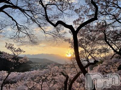 ��ˬ����Х��顦����֥���� �ץ���� ��ˬ(����� �ץ���� ����) ���� ���ޤ�4��8���̥�֥�����������~❕��