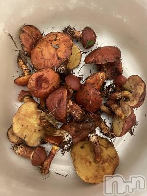 ��ˬ����Х��顦����֥���� �ץ���� ��ˬ(����� �ץ���� ����) ���� ���ޤ�10��14���̥�֥����֤����ܤ���