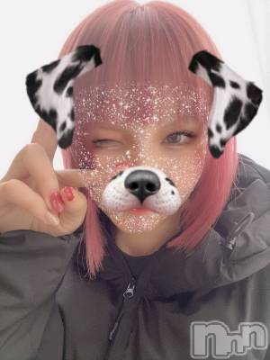 ��ˬ����Х��顦����֥���� �ץ���� ��ˬ(����� �ץ���� ����) ���� ���ޤ�1��13���̥�֥�����������~❕��