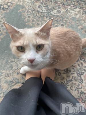 ��ˬ����Х��顦����֥���� �ץ���� ��ˬ(����� �ץ���� ����) ���� ���ޤ�3��25���̥�֥�����🌧��