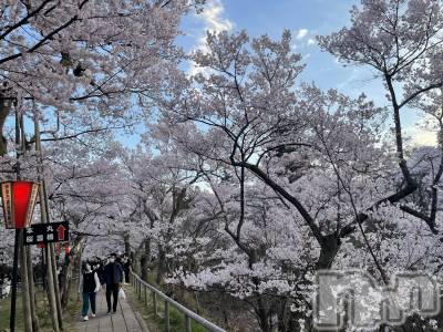 ��ˬ����Х��顦����֥���� �ץ���� ��ˬ(����� �ץ���� ����) ���� ���ޤ�4��6���̥�֥�����������~❕��